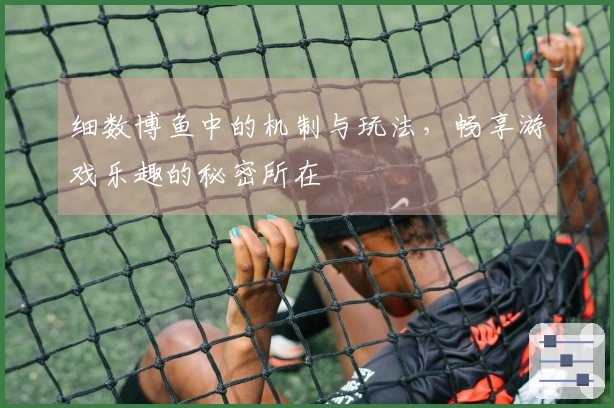 细数博鱼中的机制与玩法，畅享游戏乐趣的秘密所在