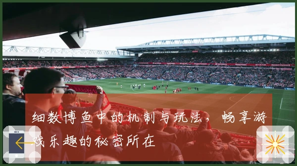 细数博鱼中的机制与玩法，畅享游戏乐趣的秘密所在