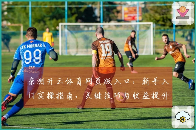 亲测开云体育网页版入口，新手入门实操指南，关键技巧与收益提升一目了然