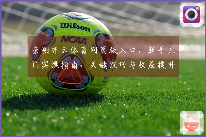 亲测开云体育网页版入口，新手入门实操指南，关键技巧与收益提升一目了然